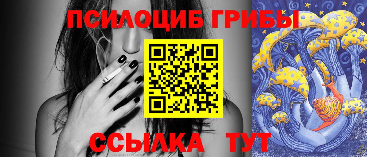 Ангарск  Псилоцибиновые грибы Psilocybine cubensis  Вход с VPN 