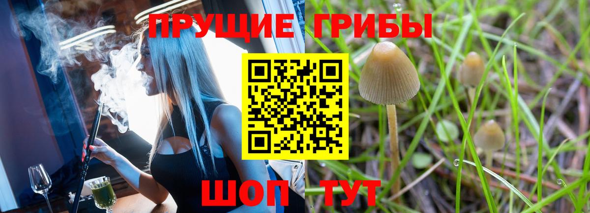 Галлюциногенные грибы GOLDEN TEACHER Ангарск